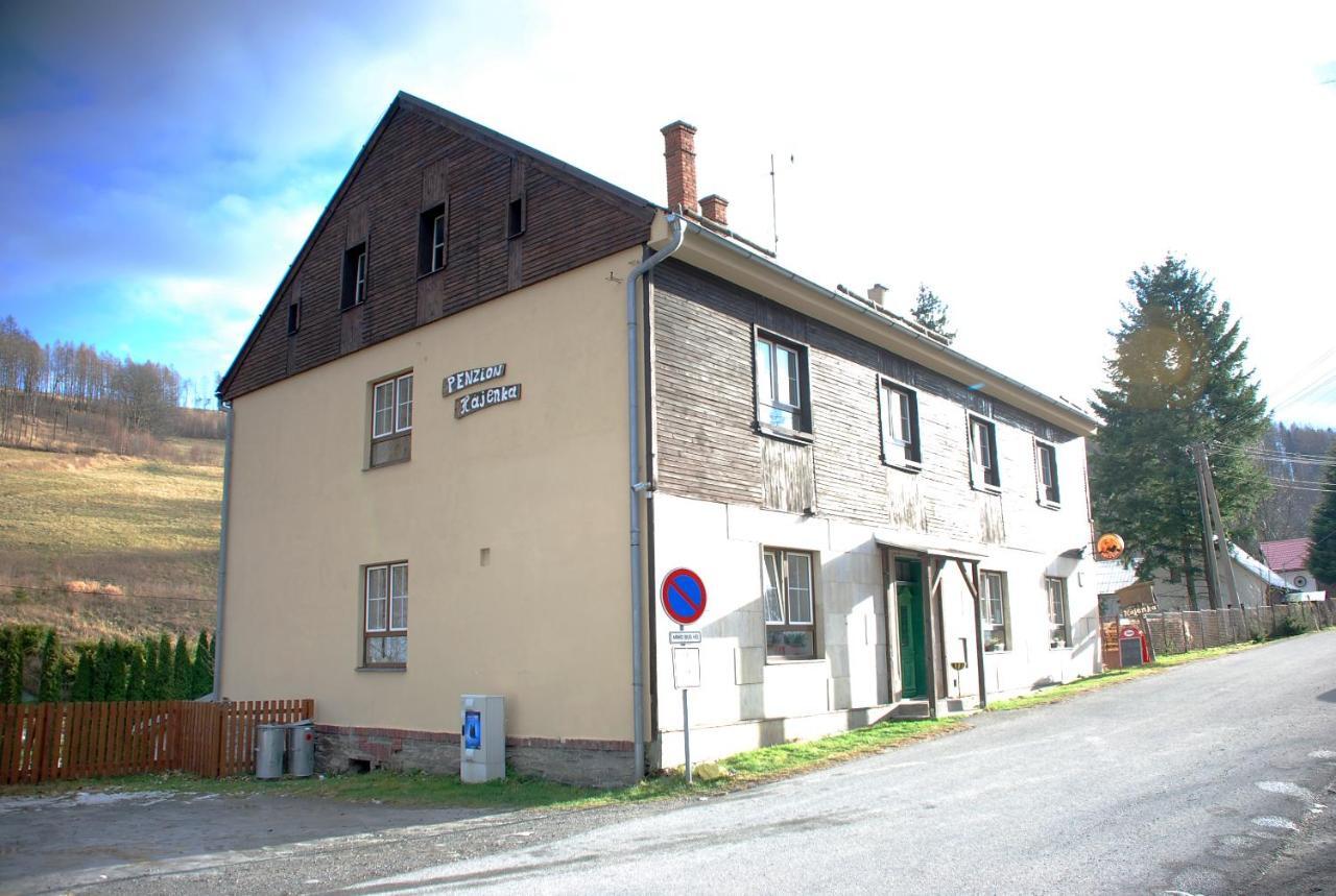 Penzion Hajenka Hotel Petrovice  Exterior photo